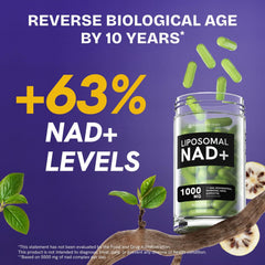 Close-up of Resurrected Health NAD bottle showing two-capsule serving concept
