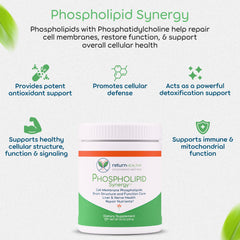 Return Healthy adaptogen immune capsules supporting stress-related resilience.