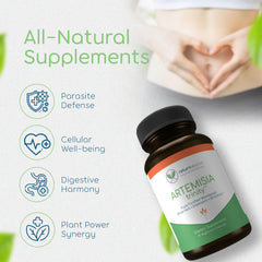 Return Healthy Artemisia Trinity 30to1 wormwood extract highlight, a potent herbal concentrate.