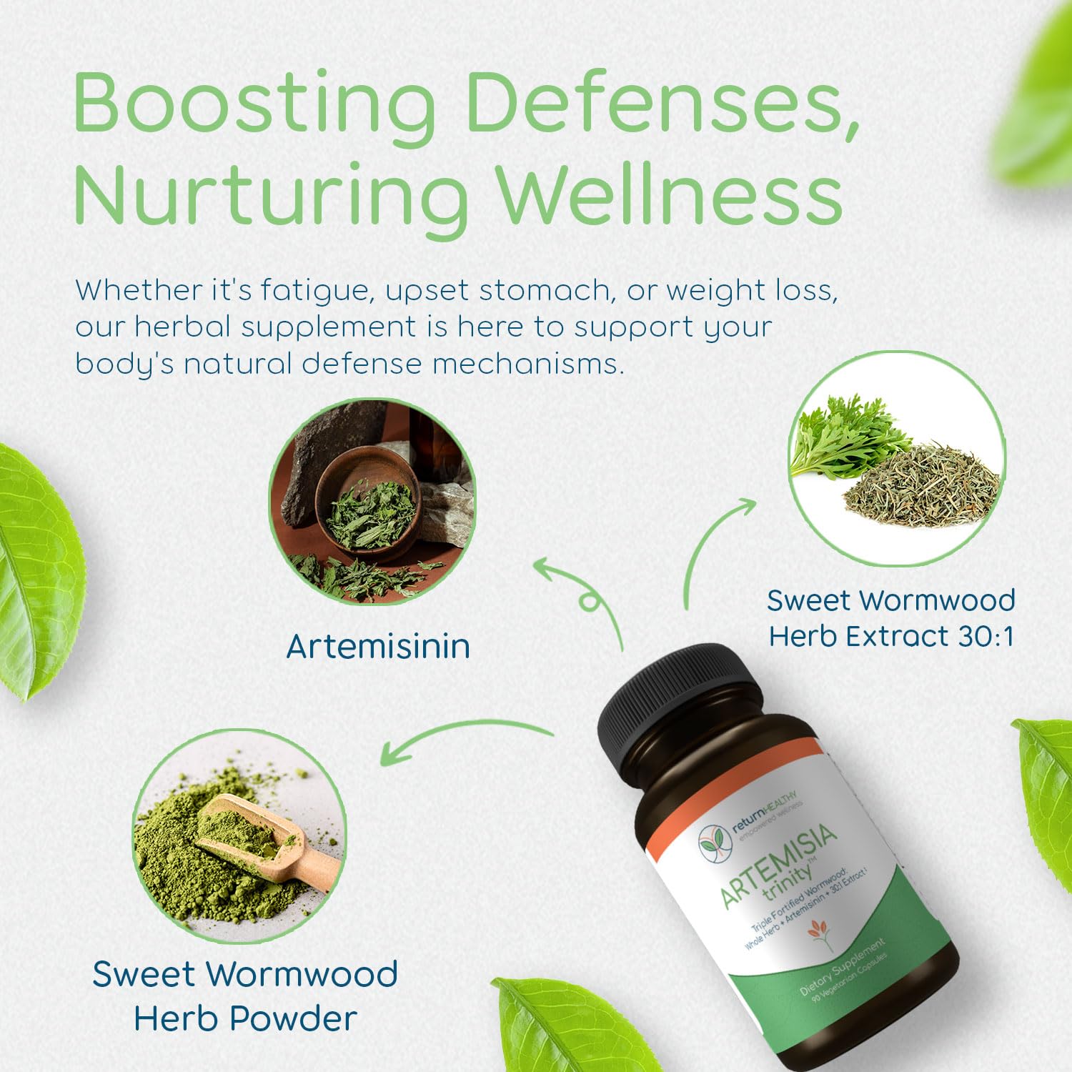 Return Healthy Artemisia Trinity artemisinins ingredient detail for holistic wellness support.