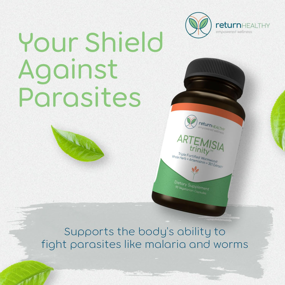 Return Healthy Artemisia Trinity capsules close-up, ideal for a simple daily herbal routine.