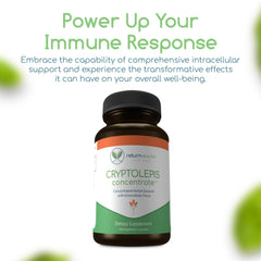 Return Healthy Cryptolepis Concentrate box showcases premium packaging.
