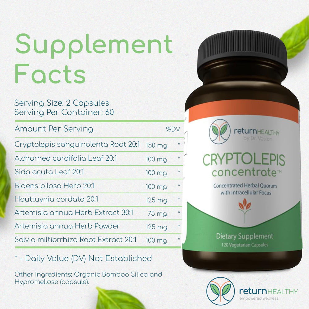 Return Healthy Cryptolepis Concentrate ingredients panel emphasizes natural formulation.