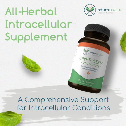 Return Healthy Cryptolepis Concentrate label highlights immunity potency.