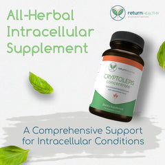 Return Healthy Cryptolepis Concentrate label highlights immunity potency.