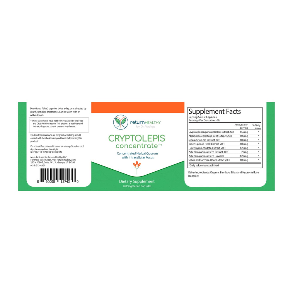 Return Healthy Cryptolepis Concentrate bottle on shelf encourages daily use.