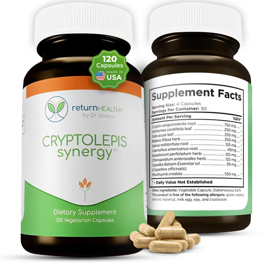 Return Healthy Cryptolepis Synergy bottle front on a clean desk supporting daily wellness