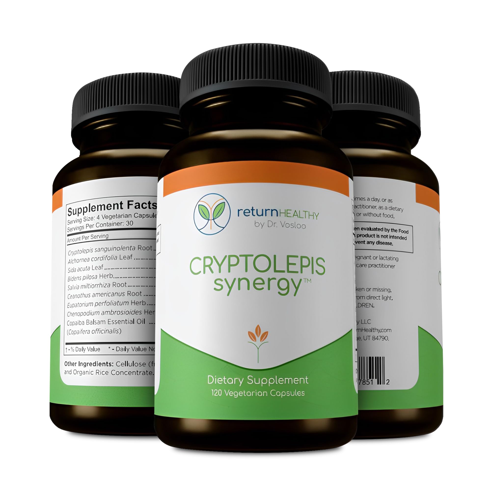 Return Healthy Cryptolepis Synergy daily routine on a tidy shelf supports consistency