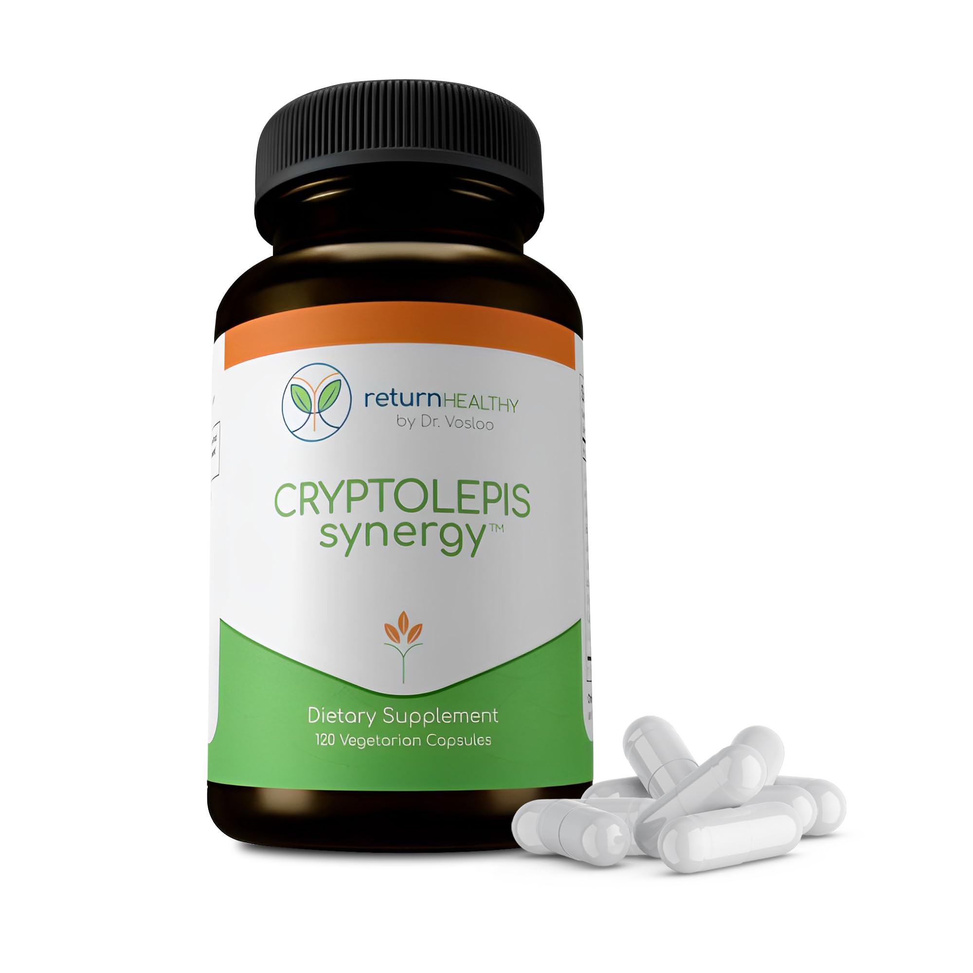 Return Healthy Cryptolepis Synergy ingredients botanicals image hints at antioxidant blend