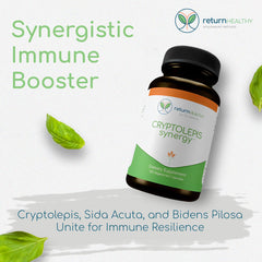 Return Healthy Cryptolepis Synergy label closeup highlights the herbal blend