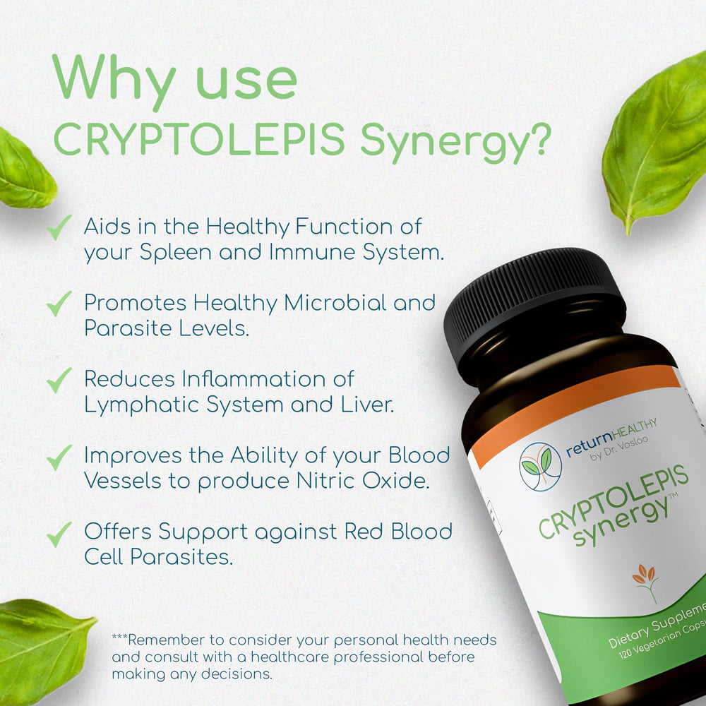 Return Healthy Cryptolepis Synergy on desk with glass of water for ready daily use