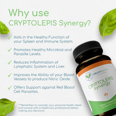 Return Healthy Cryptolepis Synergy on desk with glass of water for ready daily use