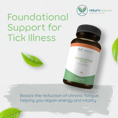 Return Healthy Foundation Formula capsules ready for daily immune support