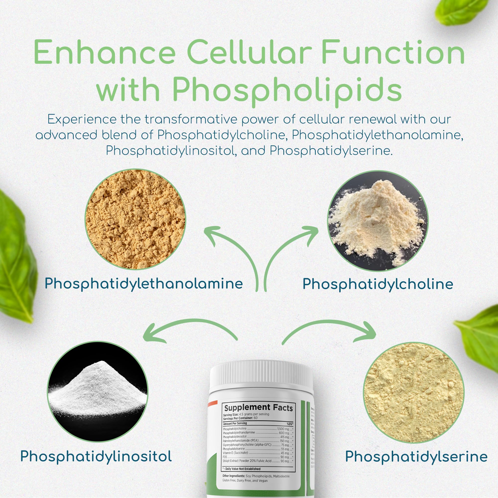Closeup of Return Healthy Phospholipid Synergy powder texture highlights purity.