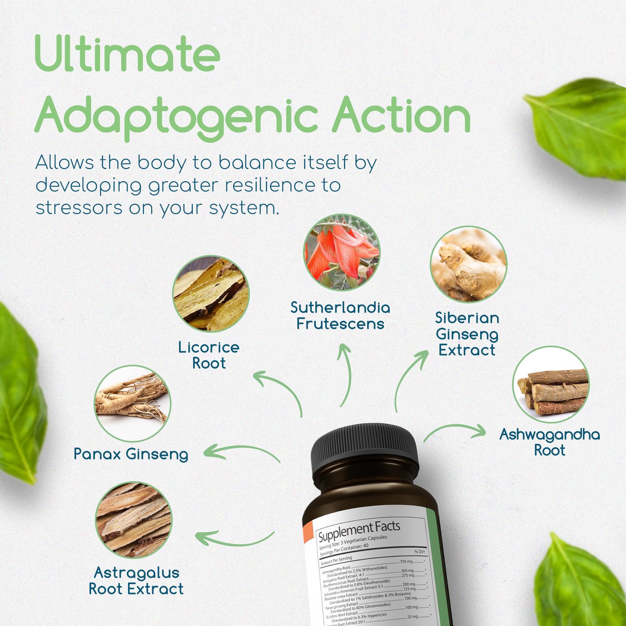 Return Healthy Siberian Ginseng blend packaging highlighting energy balance.