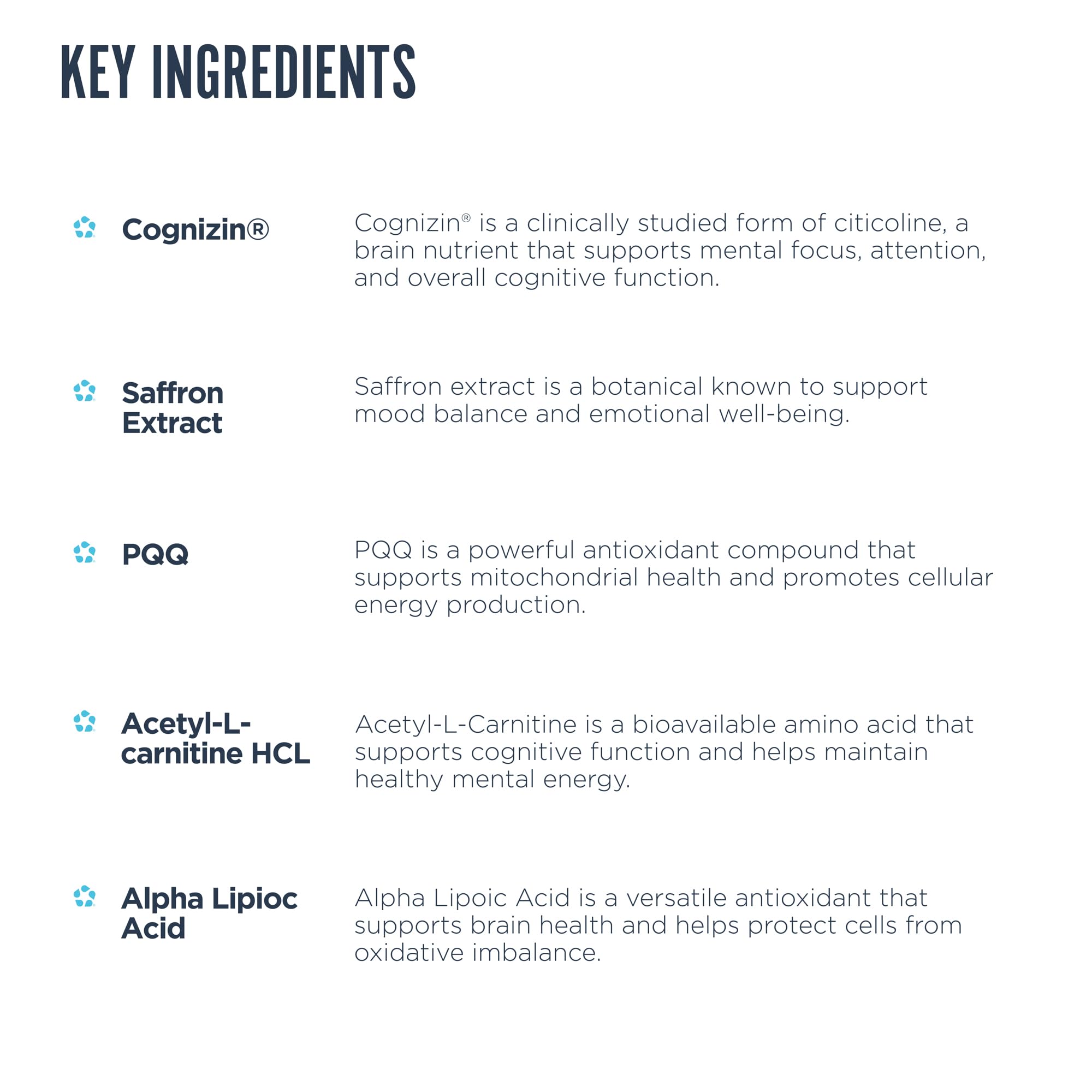 Revive MD Brain Supplement label detail with clear ingredients