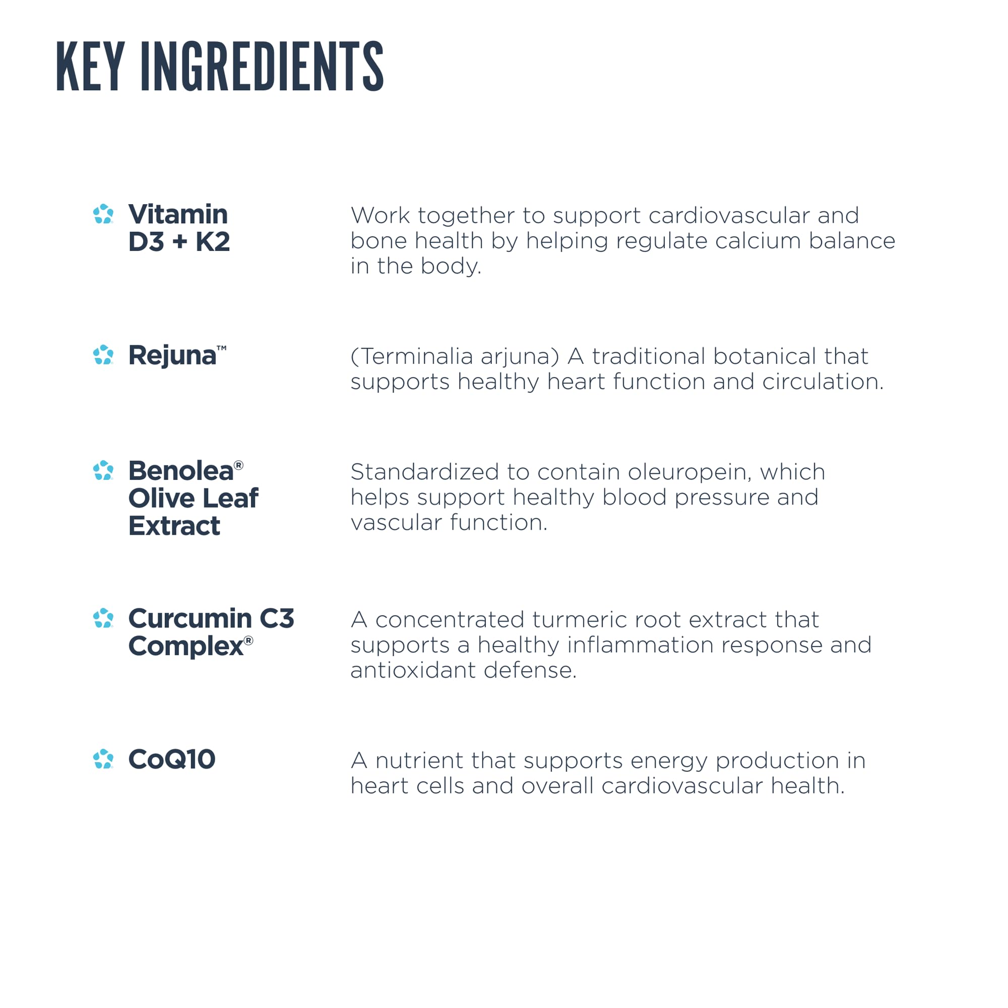 Close-up of Revive MD vegan CoQ10 capsules.