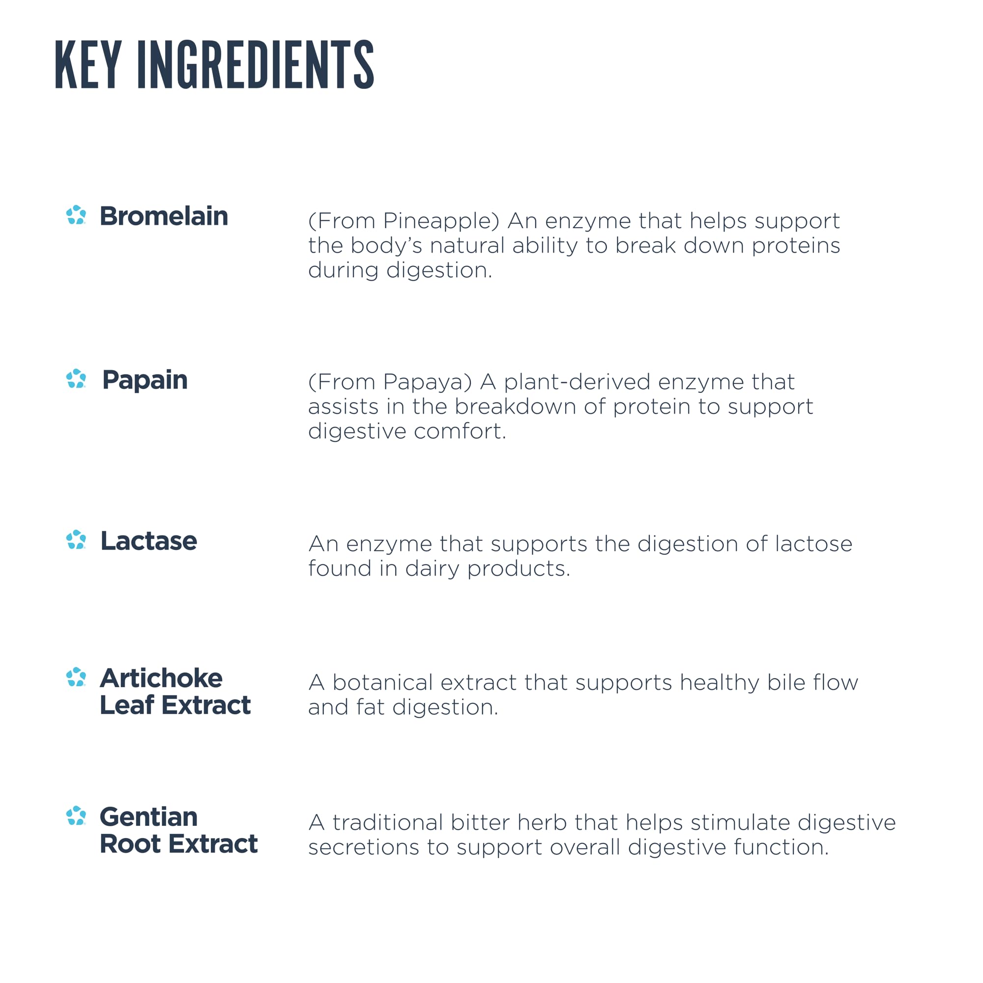 Revive MD Digest Aid capsules closeup highlighting vegetarian formula.