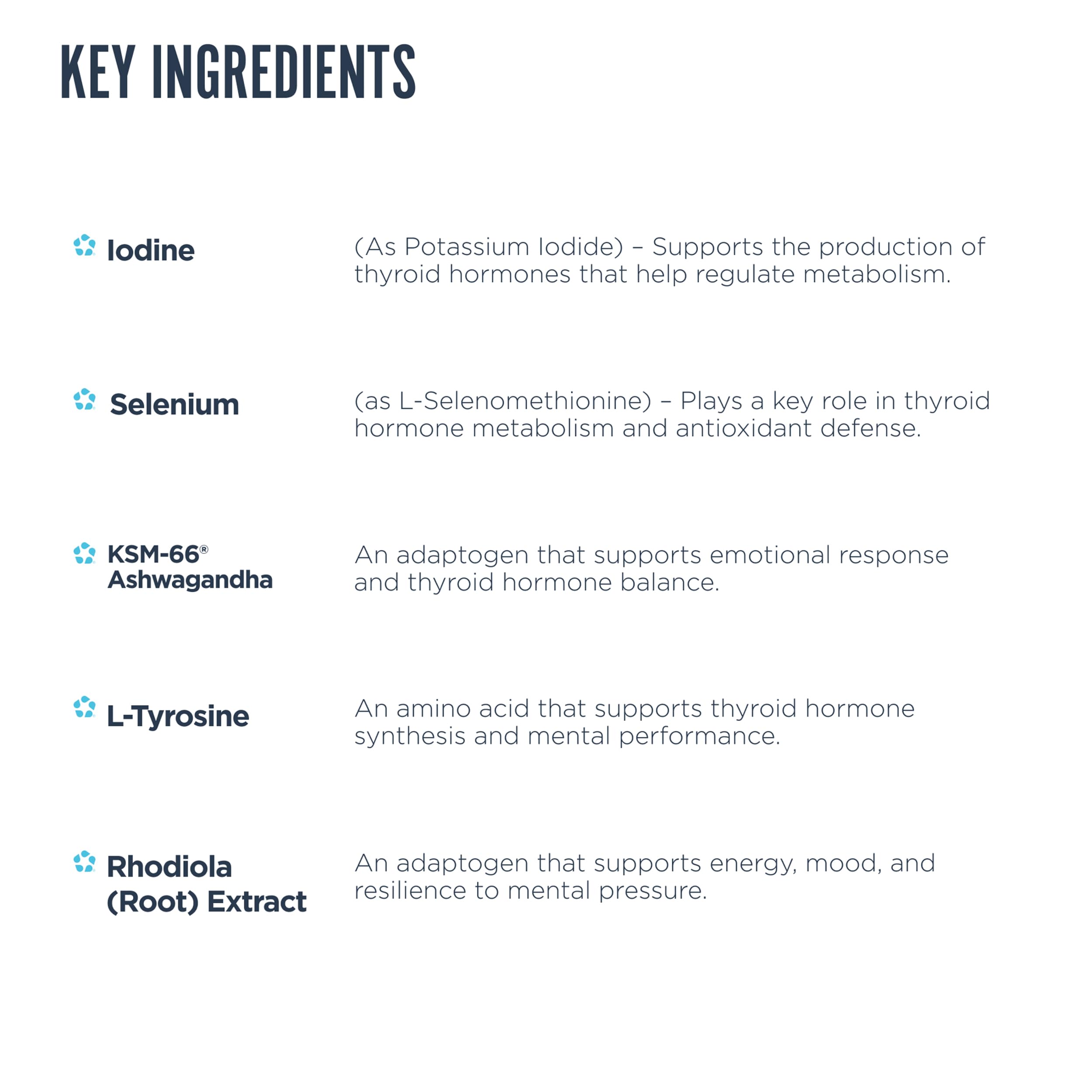 Ingredients panel showing iodine zinc and selenium in Revive MD Thyroid Support