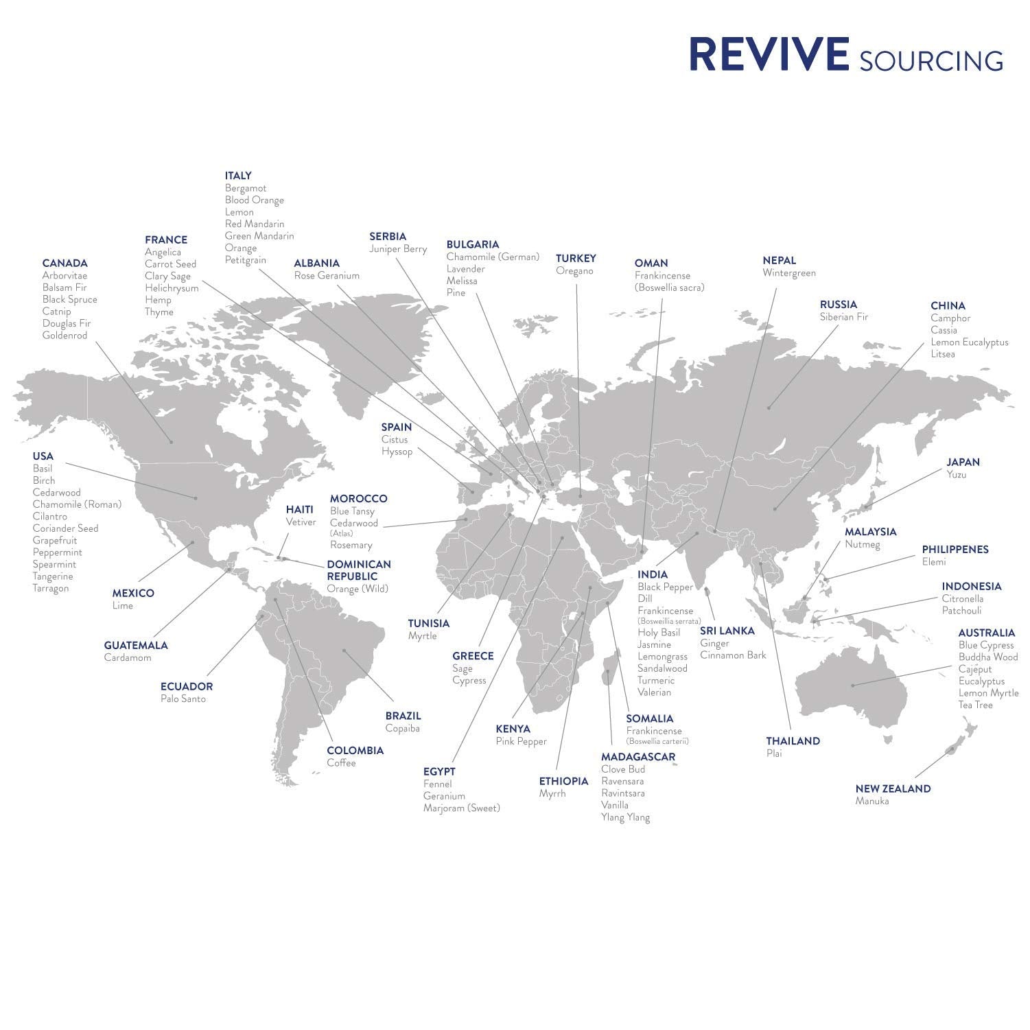 REVIVEEO Packaging box showing 10 oils for versatile routines.