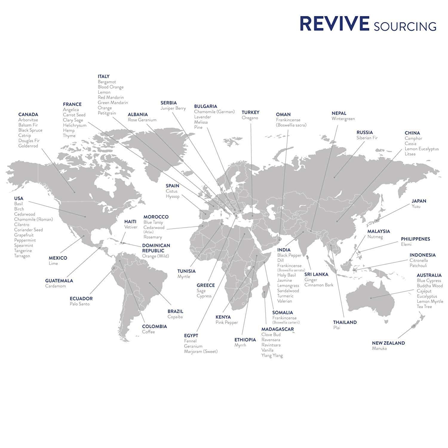 REVIVEEO Diffused oils support a pleasant home environment.