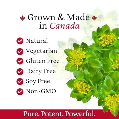 Rhoziva subarctic harvest process in Canada highlights quality sourcing