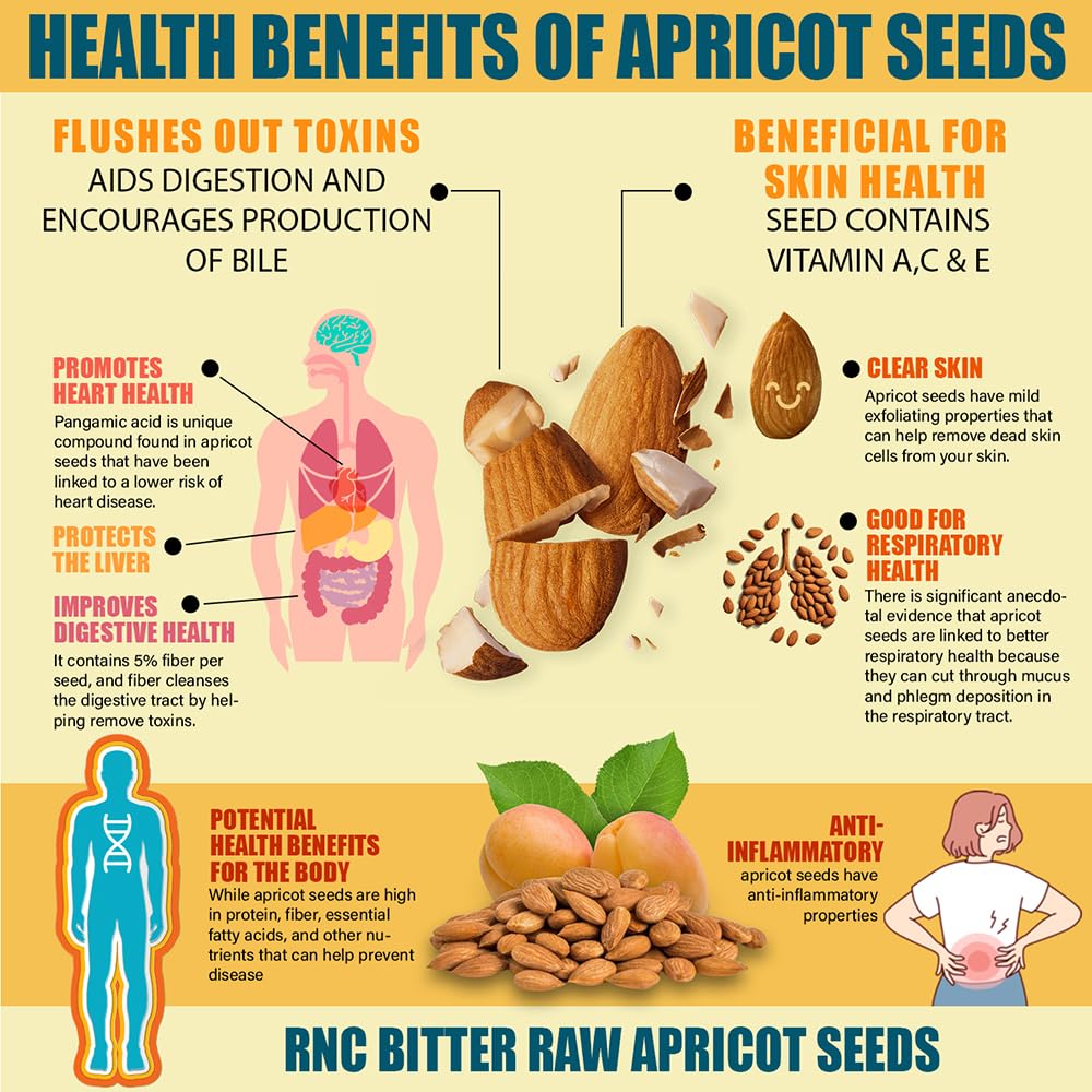 Richardson Nutritional Center apricot seeds on spoon, convenient for baking and snacks.