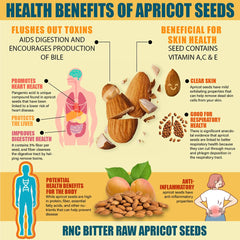 Richardson Nutritional Center apricot seeds on spoon, convenient for baking and snacks.