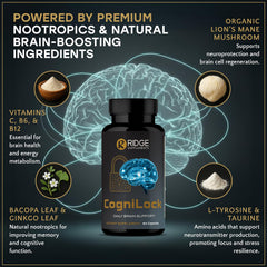 RIDGE SUPPLEMENTS CogniLock in-use desk setup for improved concentration.