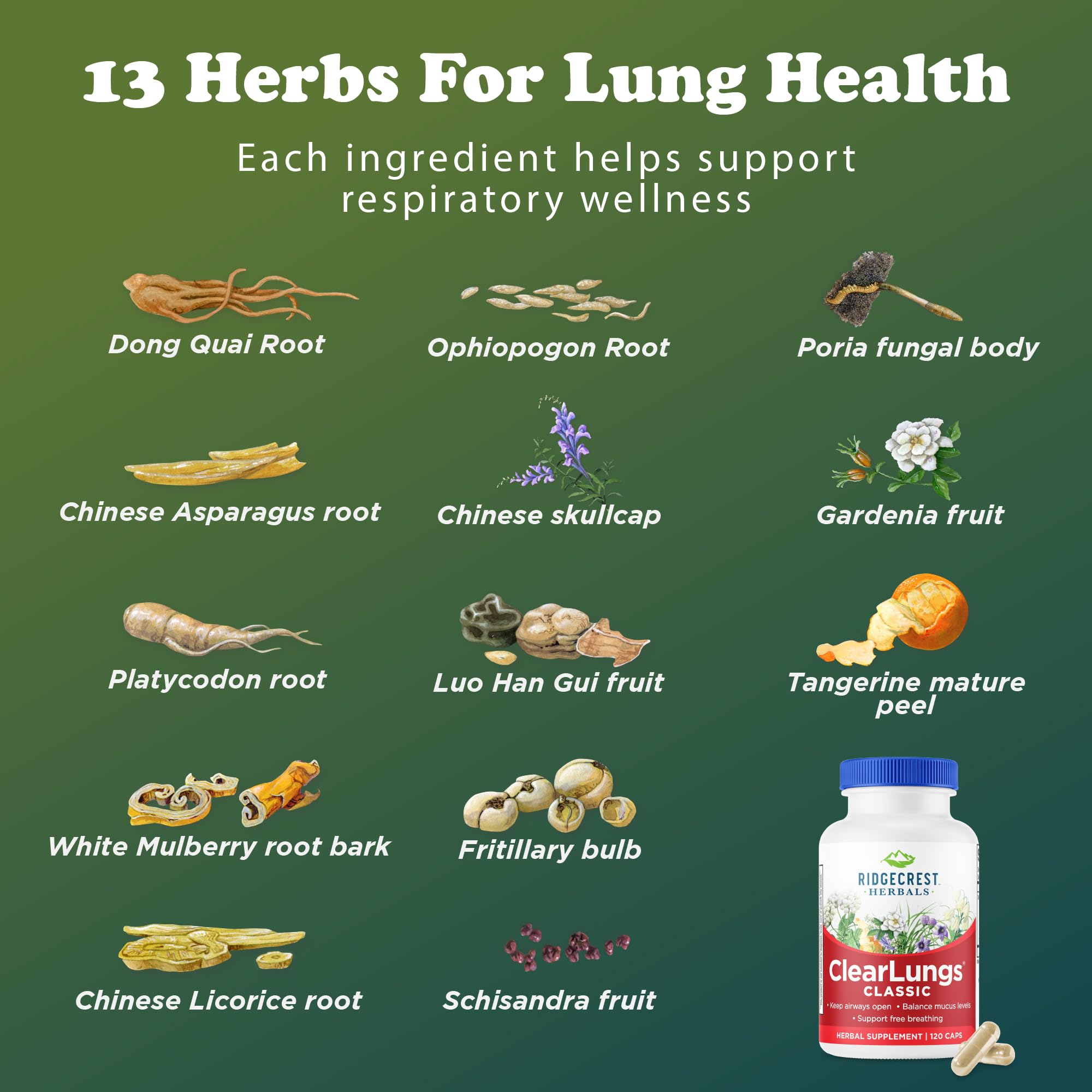 RidgeCrest ClearLungs Classic usage scene in a wellness routine.