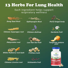 RidgeCrest ClearLungs Classic usage scene in a wellness routine.