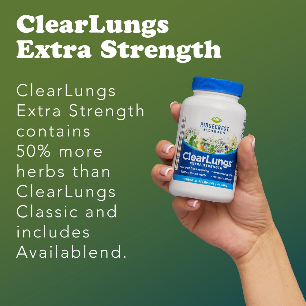 RidgeCrest ClearLungs Luo Han Guo fruit detail for gentle respiration.