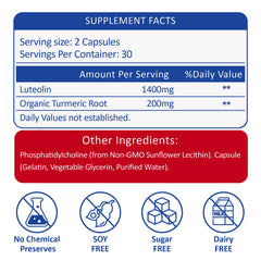 RimTuku brain-health scene conveying focus and daily wellness.