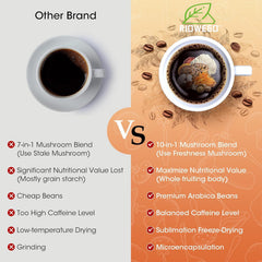 RIOWEGO Chaga antioxidant close-up in the blend