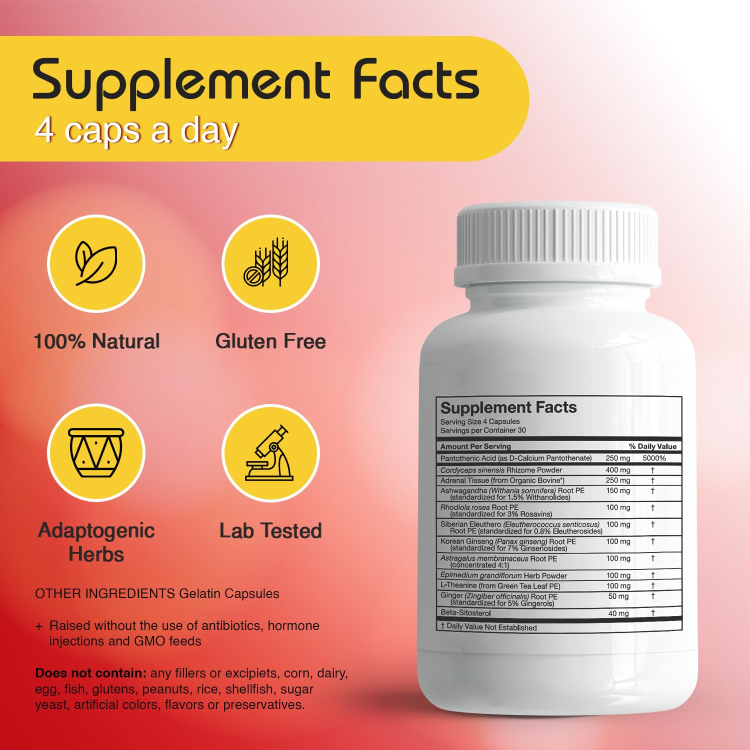 RLC Labs a-Drenal ingredients ashwagandha ginger rhodiola for stress resilience.