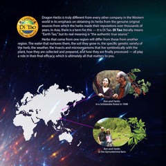Diamond Mind ingredients include Ginkgo, Schizandra, and Eleuthero for focus.