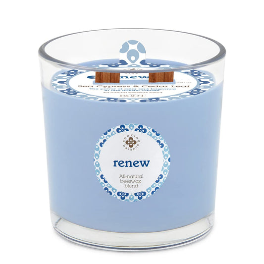 Root Candles Seeking Balance sea cypress cedar leaf jar scene for tranquil living spaces