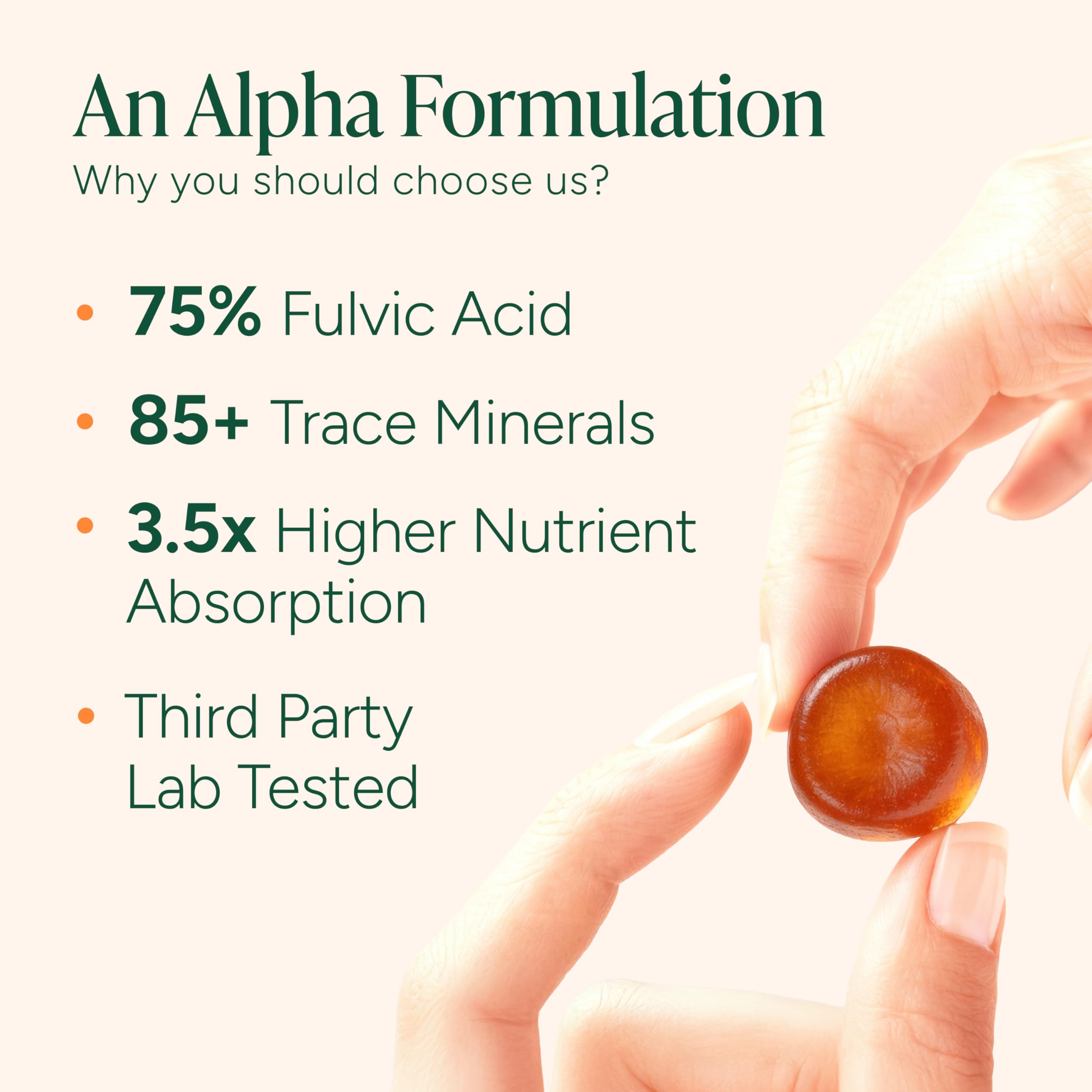 ROOT LABS Shilajit Gummies packaging ingredients list highlights maca and tongkat ali