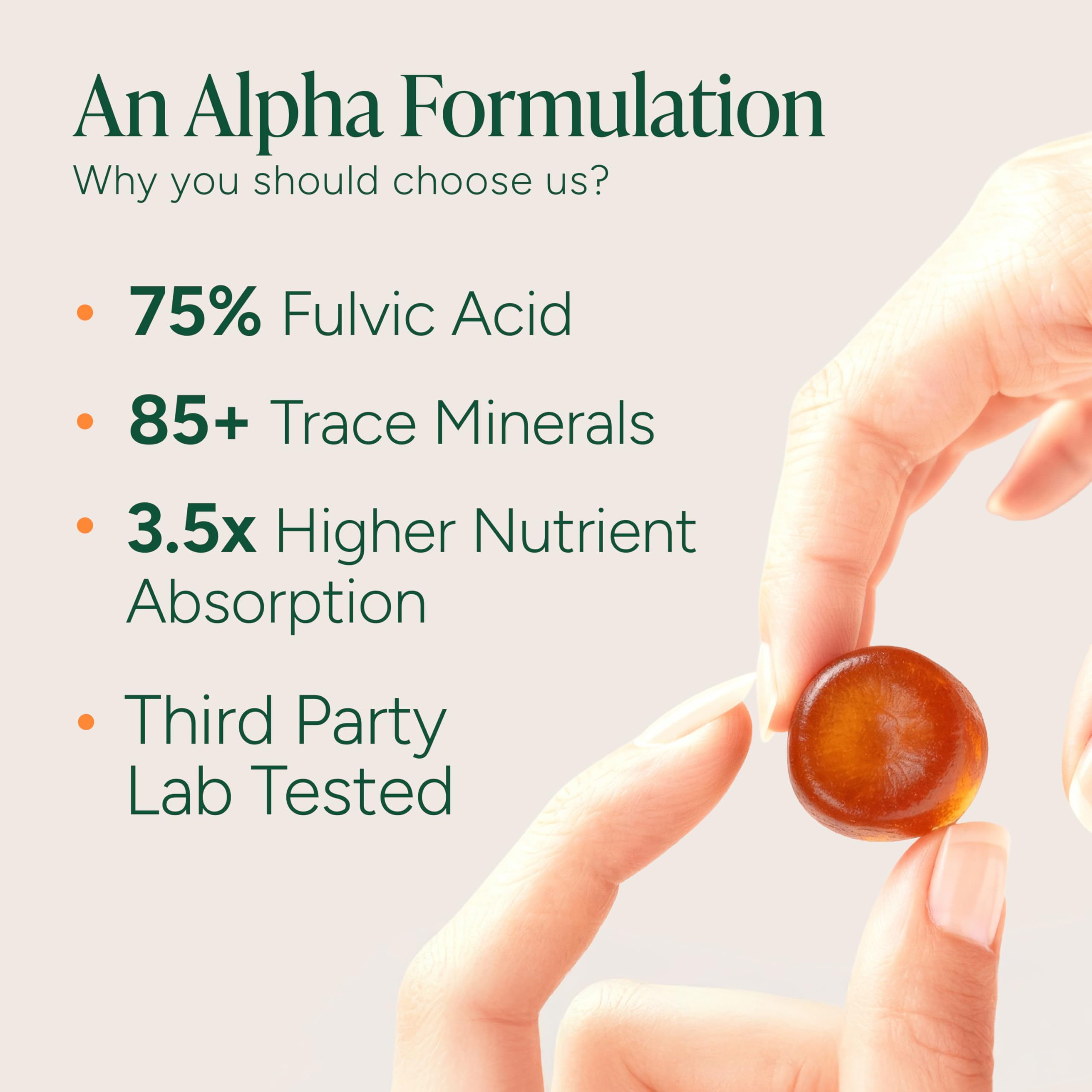 ROOT LABS Shilajit Gummies with Tongkat Ali and Maca, a vitality-supporting pairing in a gummy.