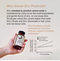 Rootcha fully-reacted magnesium graphic illustrating absorption-friendly mineral science.