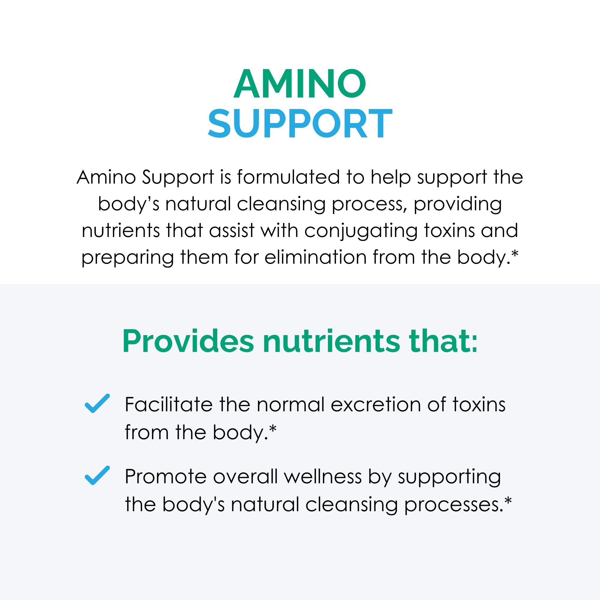 Rootcology Amino Support ingredients glutamine glycine MSM emphasize overall health possibilities.
