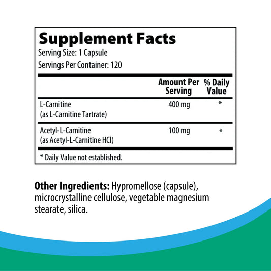 Rootcology Carnitine Blend capsules close-up highlighting the capsule format