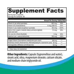 Rootcology nutrient blend tablets support energy and mental focus.
