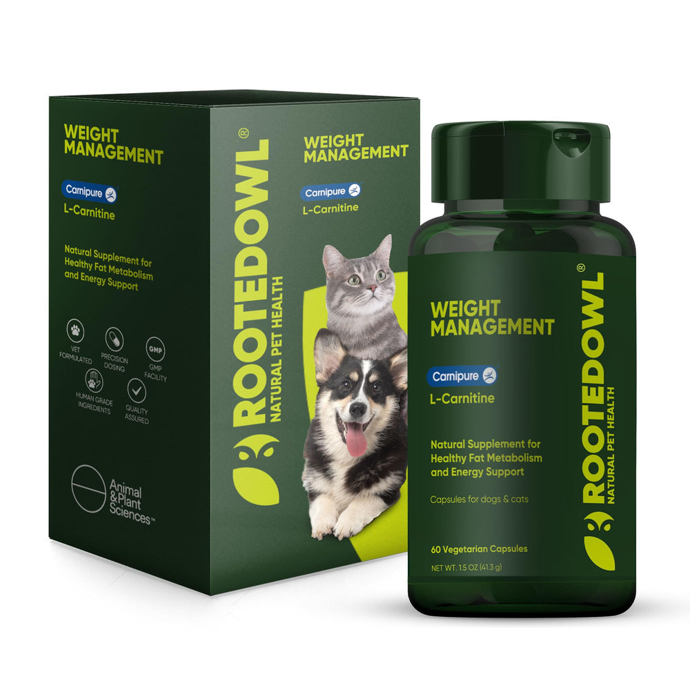 Rooted Owl Metabolism Support bottle front showing packaging for energy balance