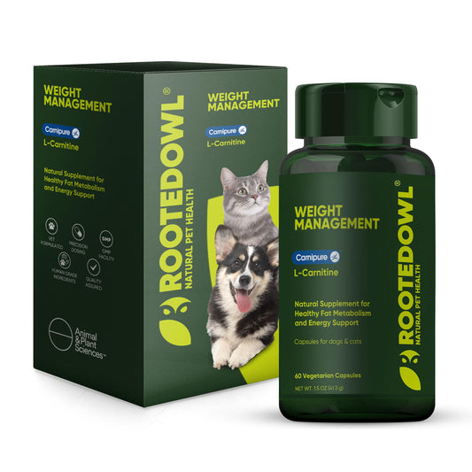 Rooted Owl Metabolism Support bottle front showing packaging for energy balance