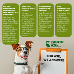 Rooted Owl Metabolism Support brand logo close-up reinforces trusted wellness