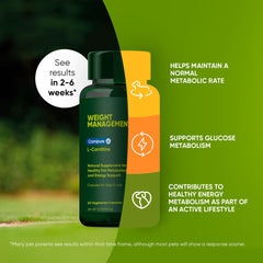 Rooted Owl Metabolism Support capsules for dogs illustrate easy daily supplementation