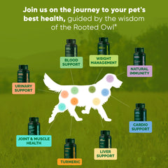 Rooted Owl Metabolism Support in use with a friendly dog at home