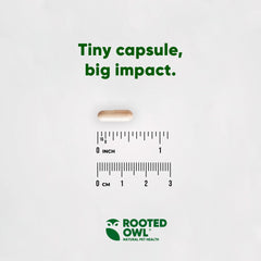 Rooted Owl Metabolism Support serving directions guide proper daily dosing