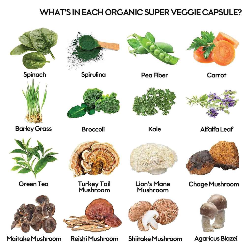 Rootie ingredients jar showing diverse superfoods for balanced nutrition